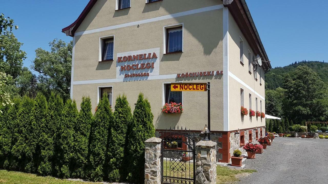 Kornelia Goscinne Homestay Stronie Slaskie